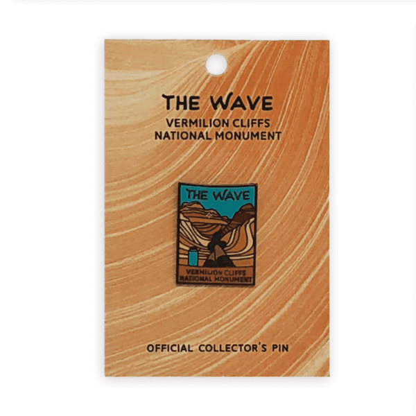 wave pin