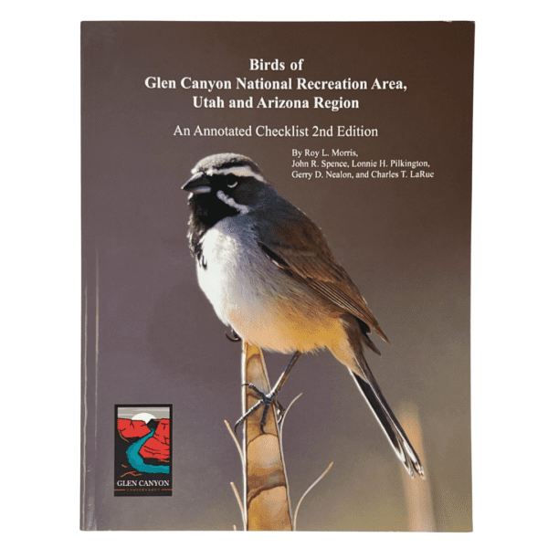 Birds of Glen Canyon National Recreation Area