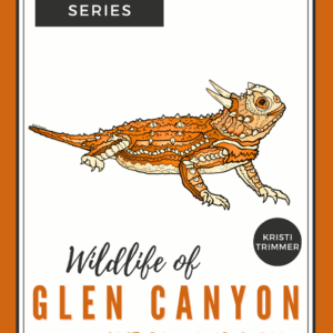 Coloring Book Wildlife of Glen Canyon