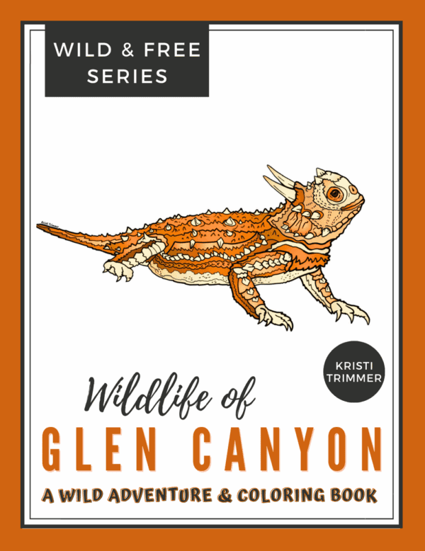Coloring Book Wildlife of Glen Canyon