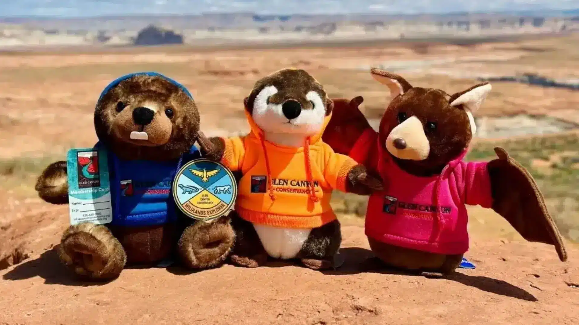 Make a donation GCC Plushies